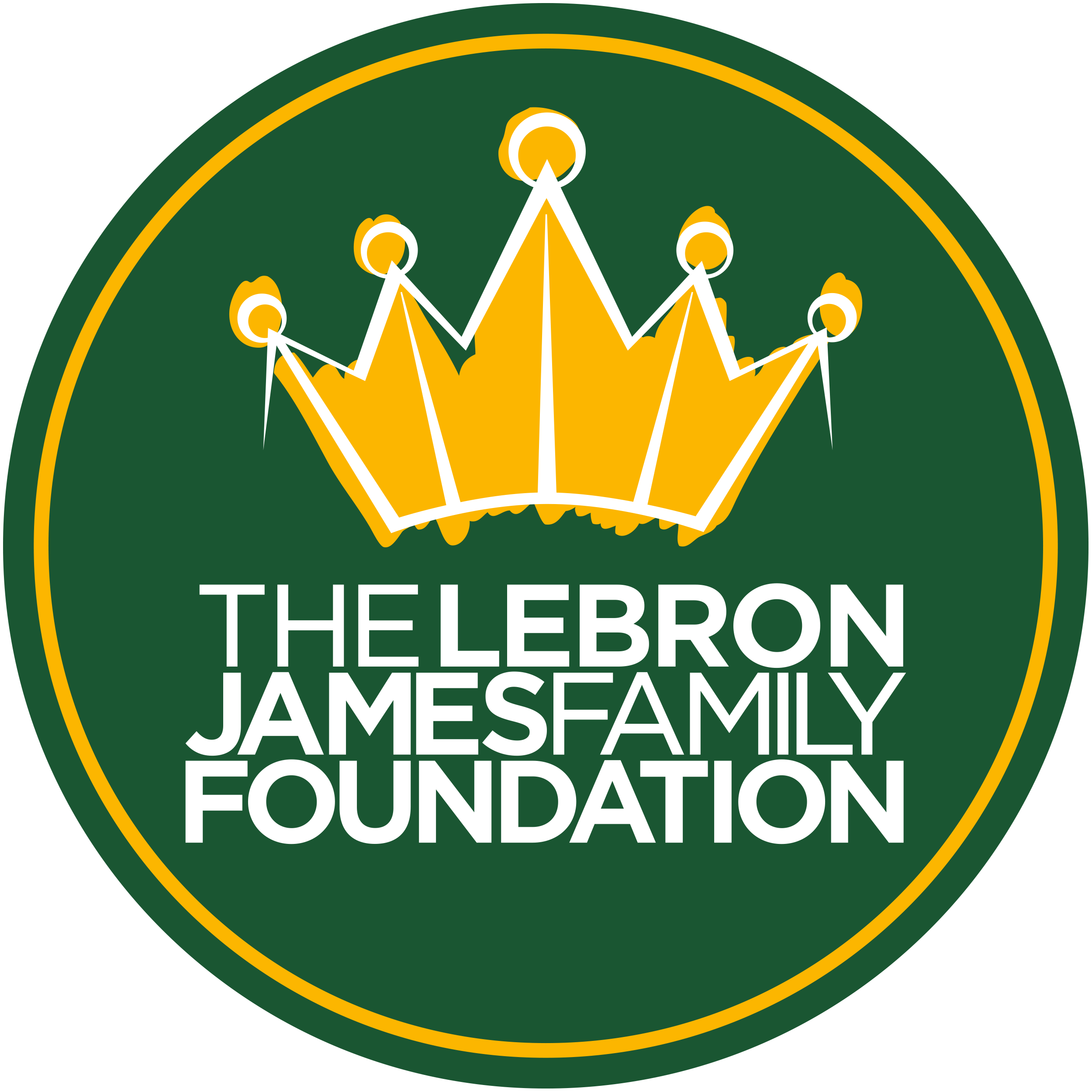 LeBron James Family Foundation (@ljfamfoundation) • Instagram photos and  videos